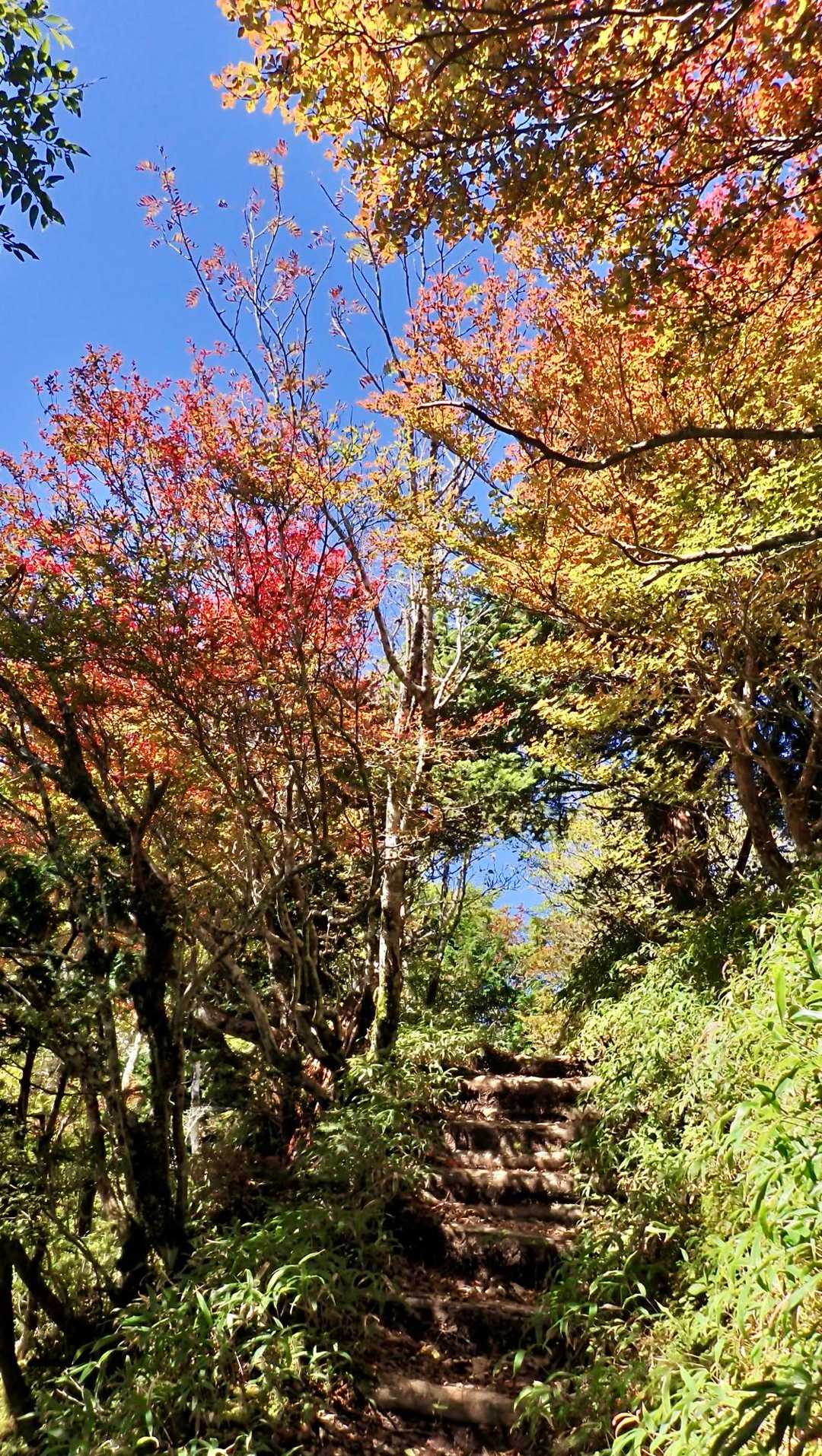 行きで撮れなかったので

日本岳コルと石の鼻の間の紅葉🍁