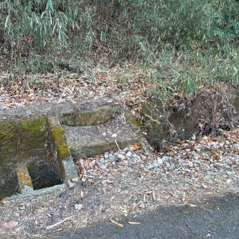 雌龍籠山へはここから入ります