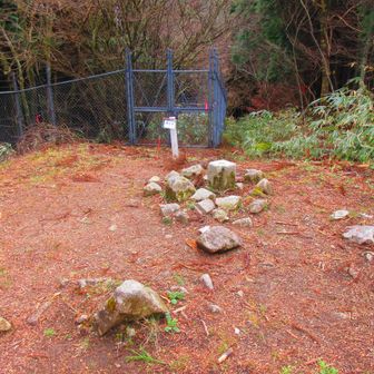 湧出岳山頂