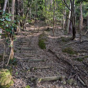 登山道は階段状、ずっとこんな感じのハイキングコース。
