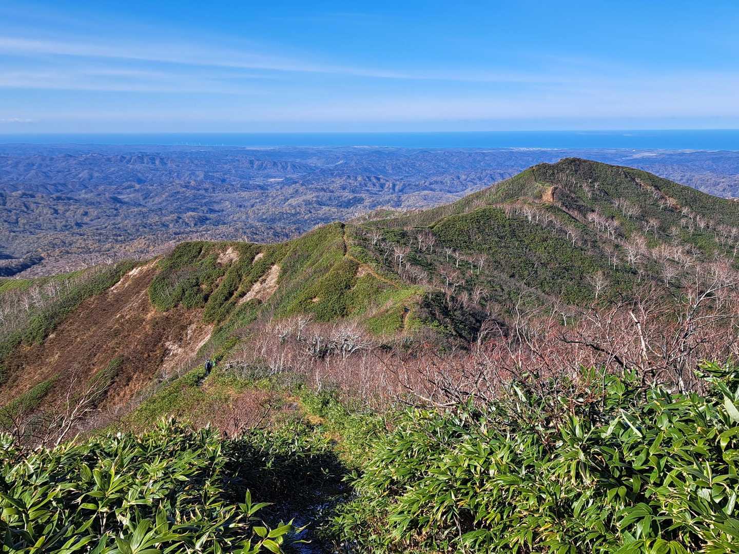 行きまーす✨
遠く天売島、焼尻島が見えました