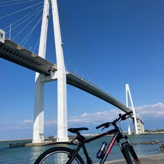 サクラローレル課長