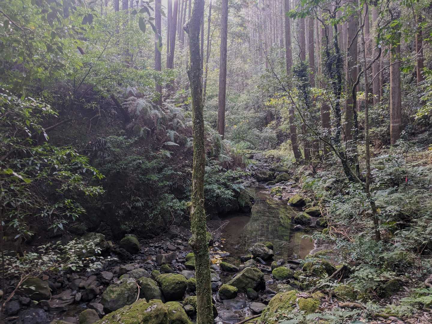 ベンチ-高房台-高房山 往復コースの写真
