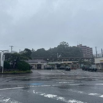 真鶴駅でゴール！

めっちゃ降ってる。
山にしなくて良かった。