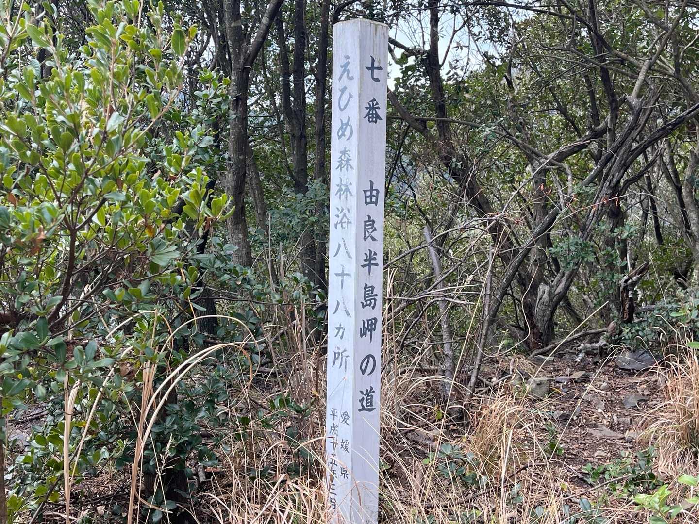 由良半島岬の道
登山口から入った辺りは薮漕ぎの雰囲気があったが、歩きやすい山道が続く