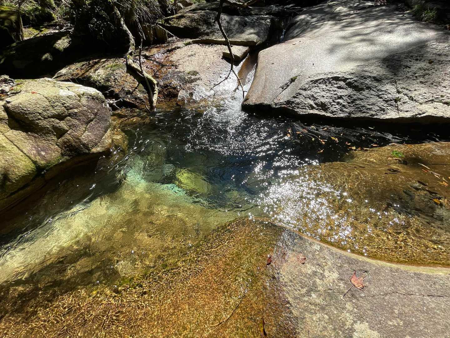 下山は足場危ないのでゆっくりと🎶

日差しで沢の水がきれいだったょ✨