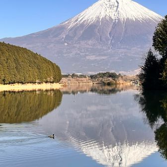 鴨と富士山
