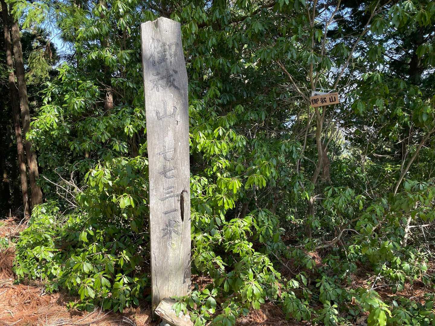 山頂に数名。