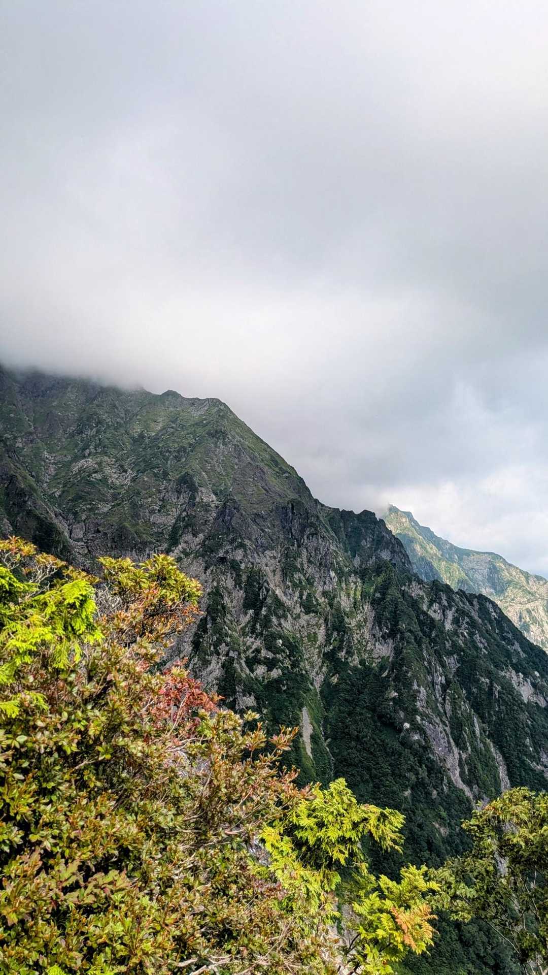 あれ？谷川の皆さんは隠れてるんですか？