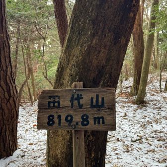 田代山⋃ヽ(°▹｡ )ﾄｯﾀﾄﾞｰ!!