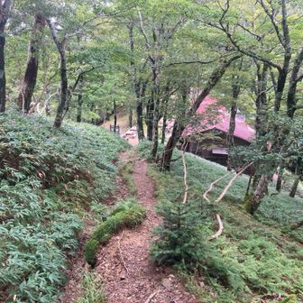 山荘に戻ってきました。
ここからはひたすら下山です。