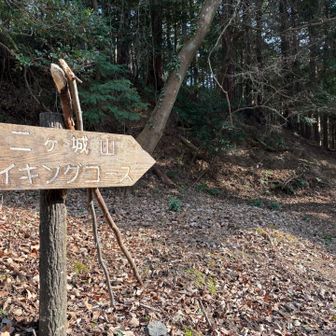 ハイキング🎵ハイキング🎵