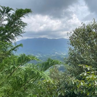 高照寺山⛰️和尚