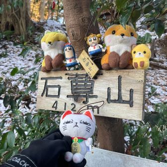 かわいい山名板わちゃわちゃ。