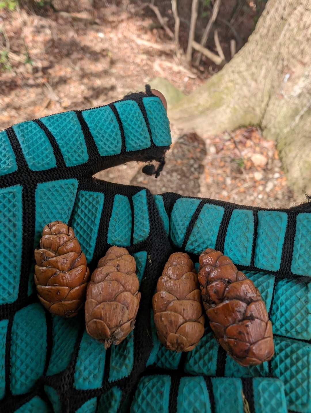 実はテカテカ光ってる