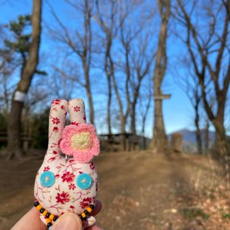 オサワ、分身連れて来たよん🐰