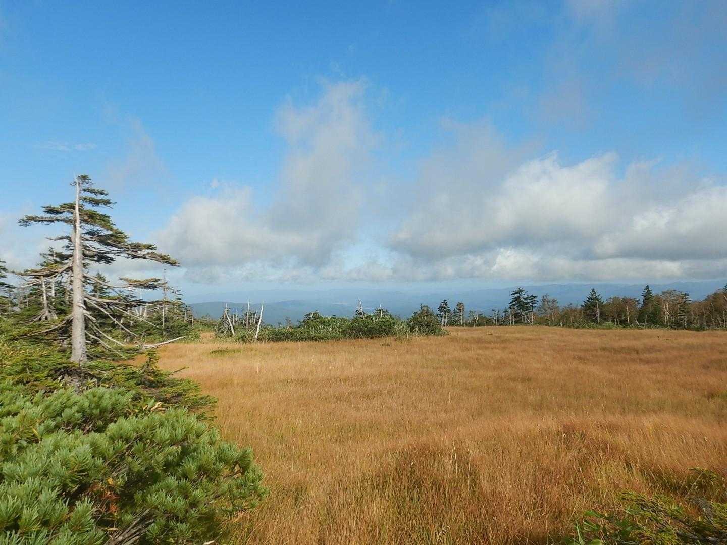 愛山渓登山口-松仙園登山口-松仙園-沼ノ平-1591ピーク 周回コースの写真
