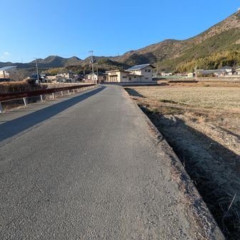 道路を歩いて🅿️へ