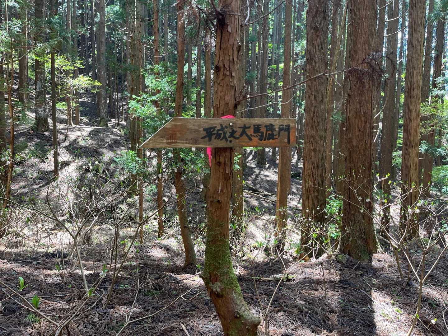 なんかこの看板の文字、後山でも見たし、行ったような…