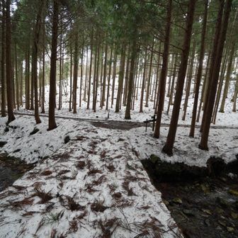 橋のところで、かんじきをぬぐ
