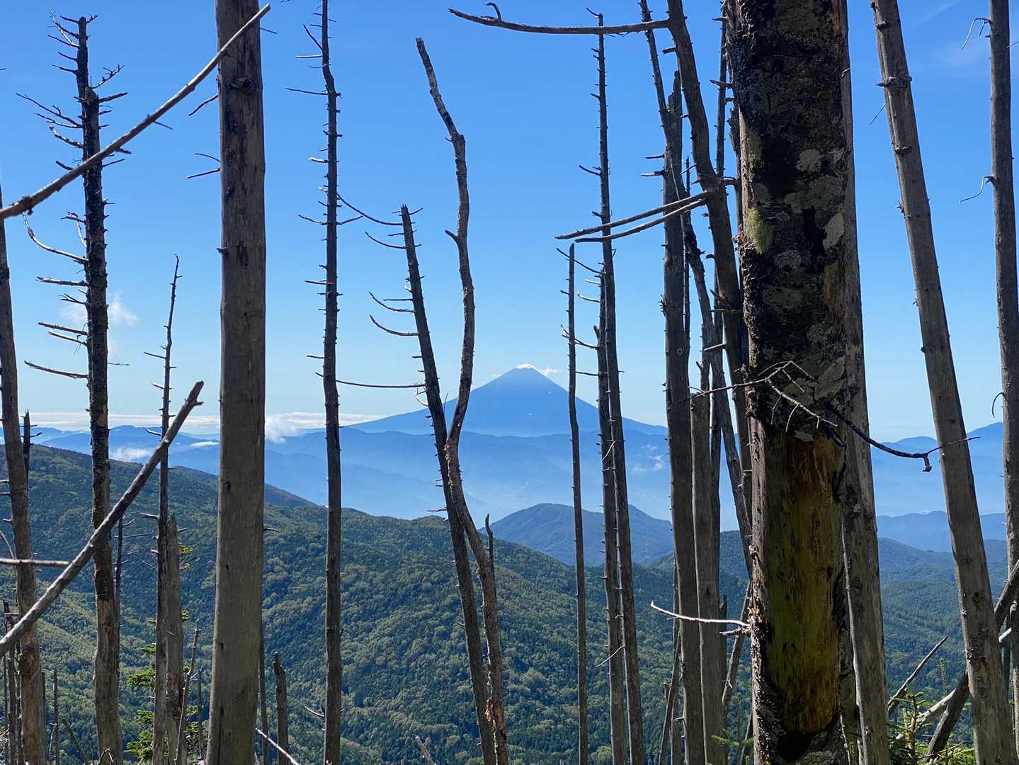 富士山が綺麗に見えてます