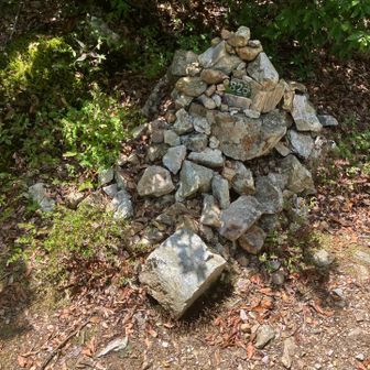 北尾根P826峰は、ひっそりあった