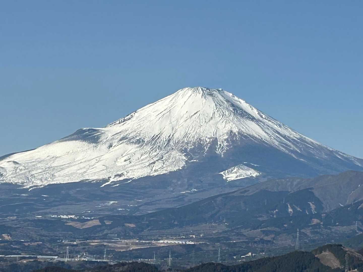 大野山 往復コースの写真