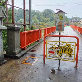 駐車場に🅿️沢山の車とまってたけど…晴れてたら、阪神ファンで混雑とかあっただろうか？