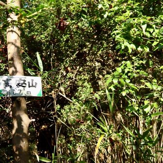 到着⛰️
全く眺望なく、超狭い