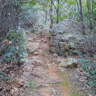 こういう道好き♪