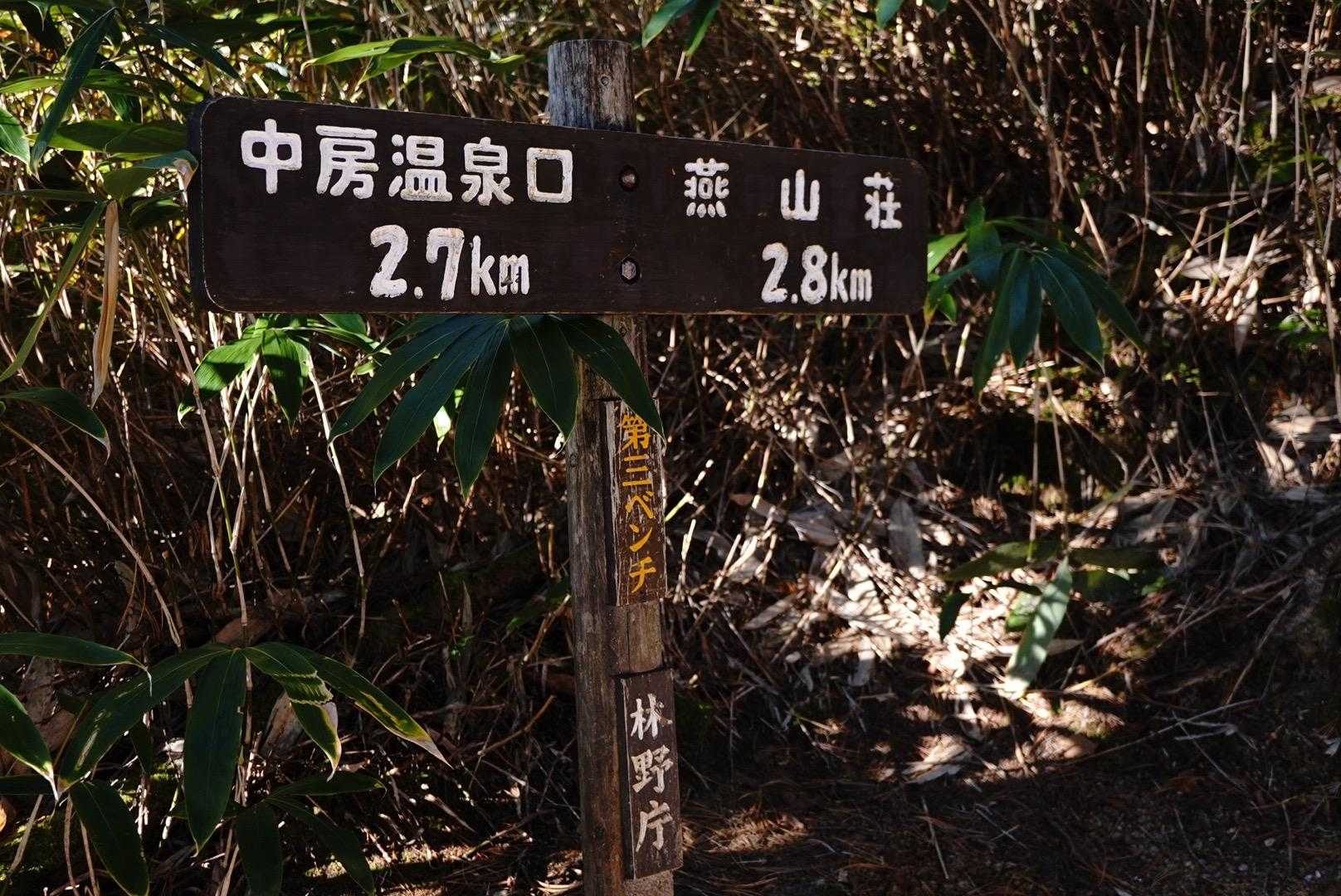 第三ベンチ やった！半分だー✌️