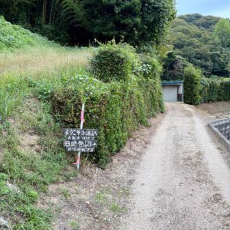 5年前には看板など無かったと思う