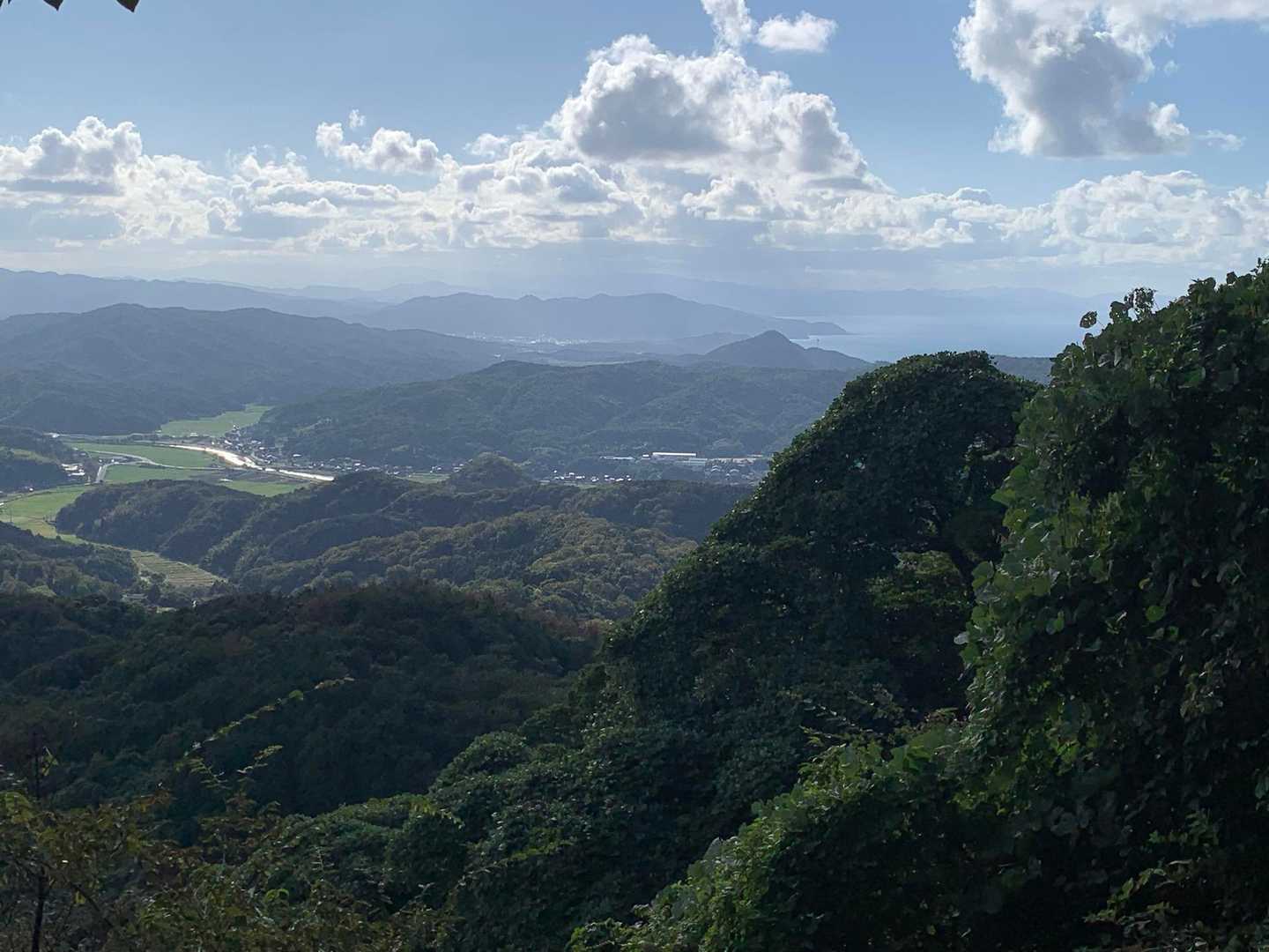 依遅ヶ尾山往復 | 歩きやすい登山道の先に広がる、日本海を望む関西百名山最北端の写真