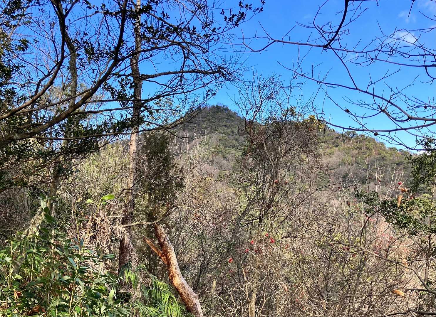 321Ｐから見える竜門山山頂