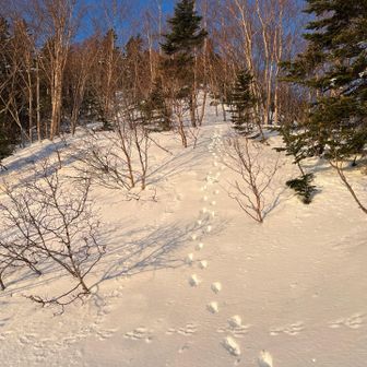 テント泊の方はすでに登っていたのでトレースを追って私も登る