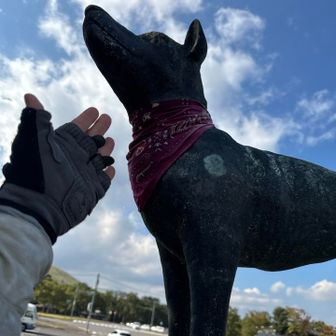 ただいまぁ〜
みんなが顎の下ナデナデしてるやつ
したいのに手がたわん🖐️