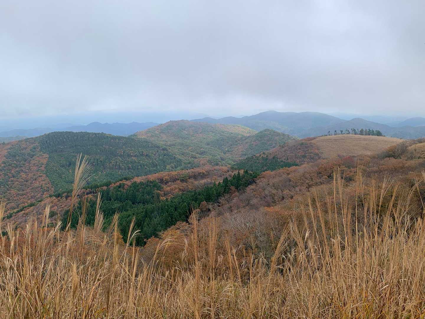 舩谷山-深山 周回コースの写真