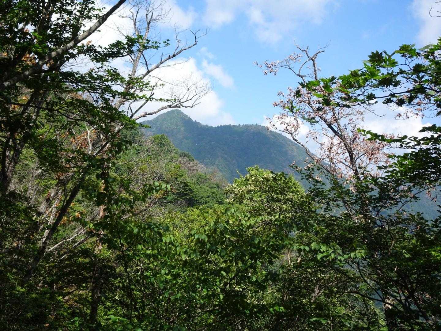 大岳山を望む