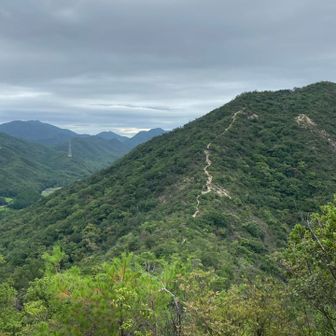 あーーこの見えている道をまだまだ登るんだな～と遠い目をしてお茶を飲んでいるところです