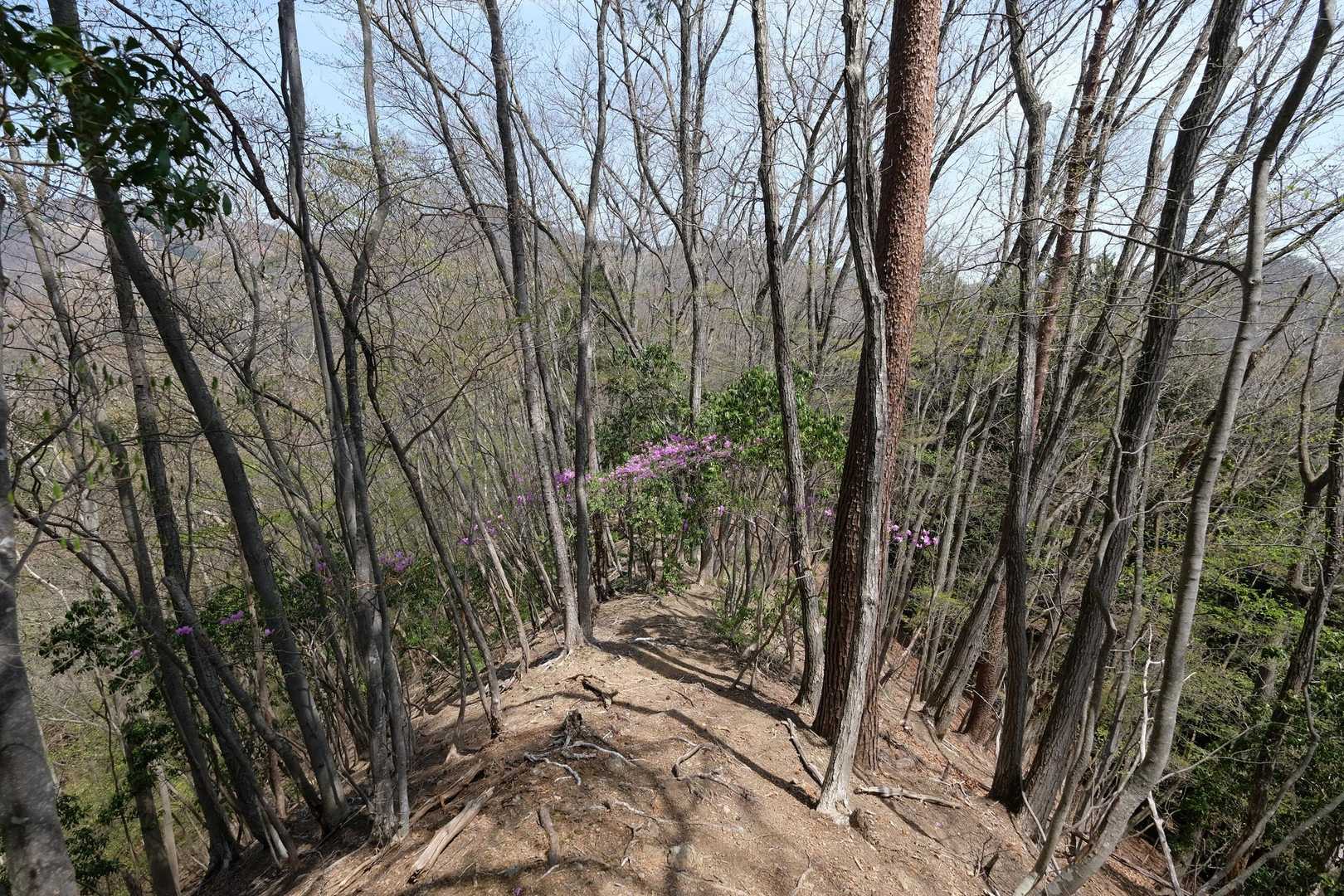 笠丸山登山道入口-地蔵峠-笠丸山-笠丸山登山口 周回コースの写真