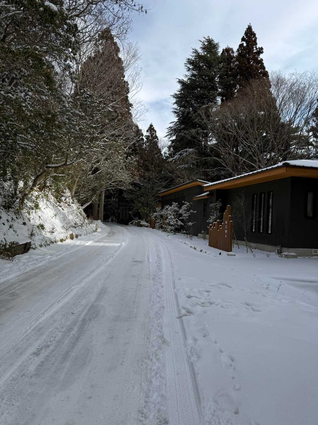 どこも雪❄️