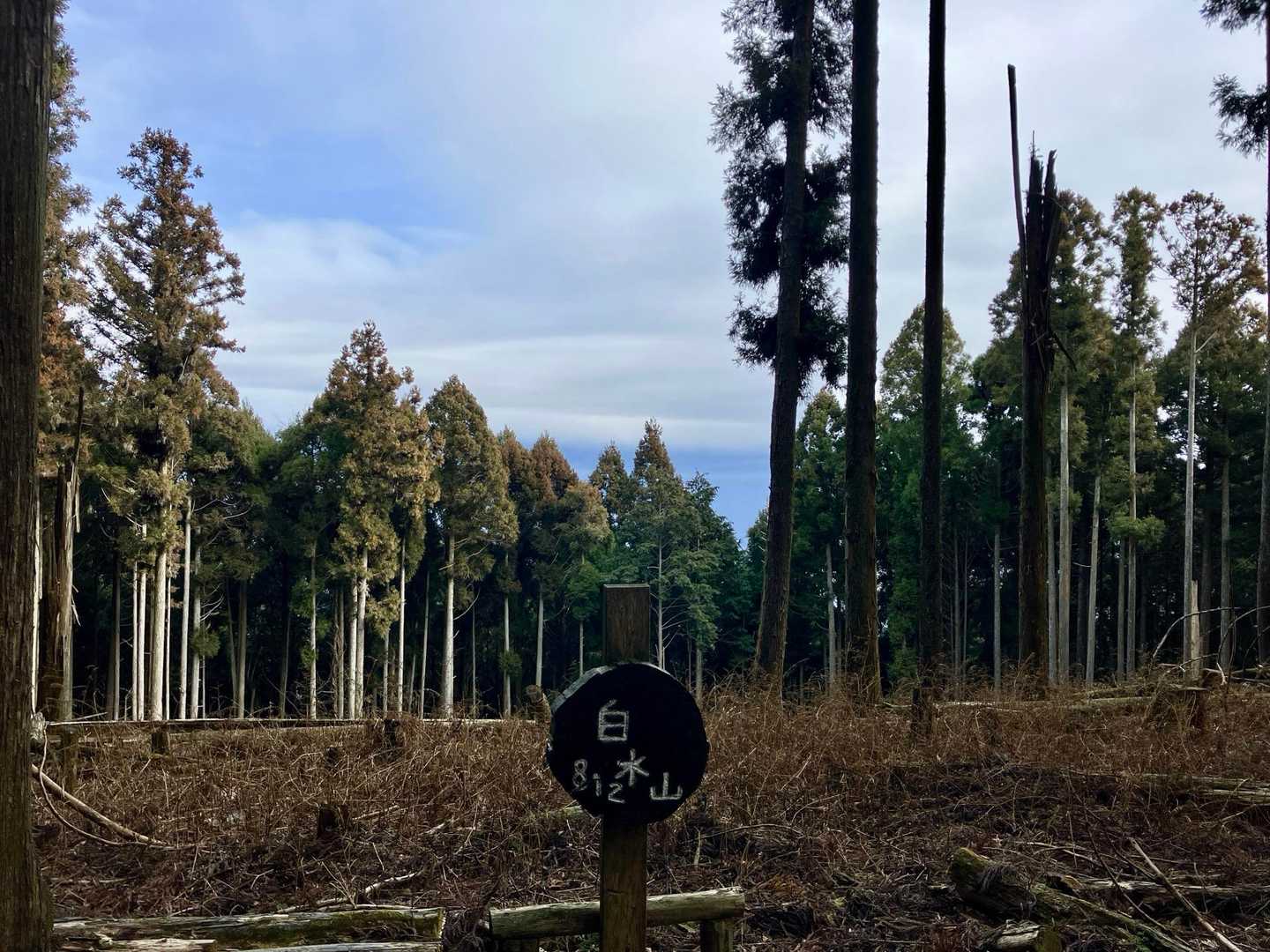 富士山に雲ががががが