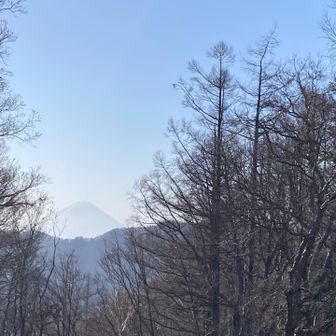 　富士山♪富士山🗻
