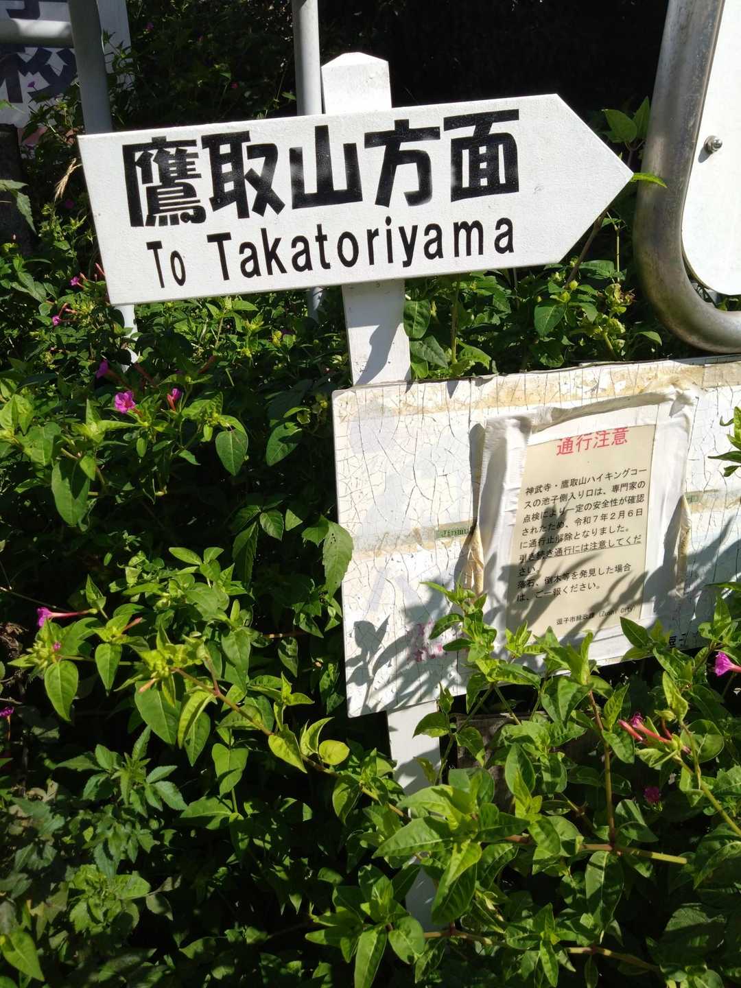 ここで曲がります👣