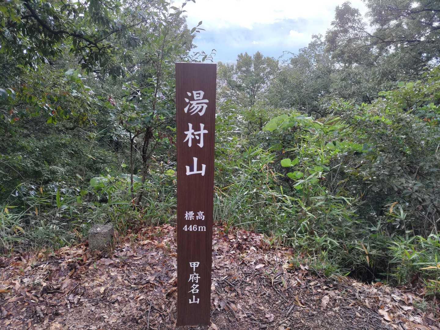 今回もサクッと