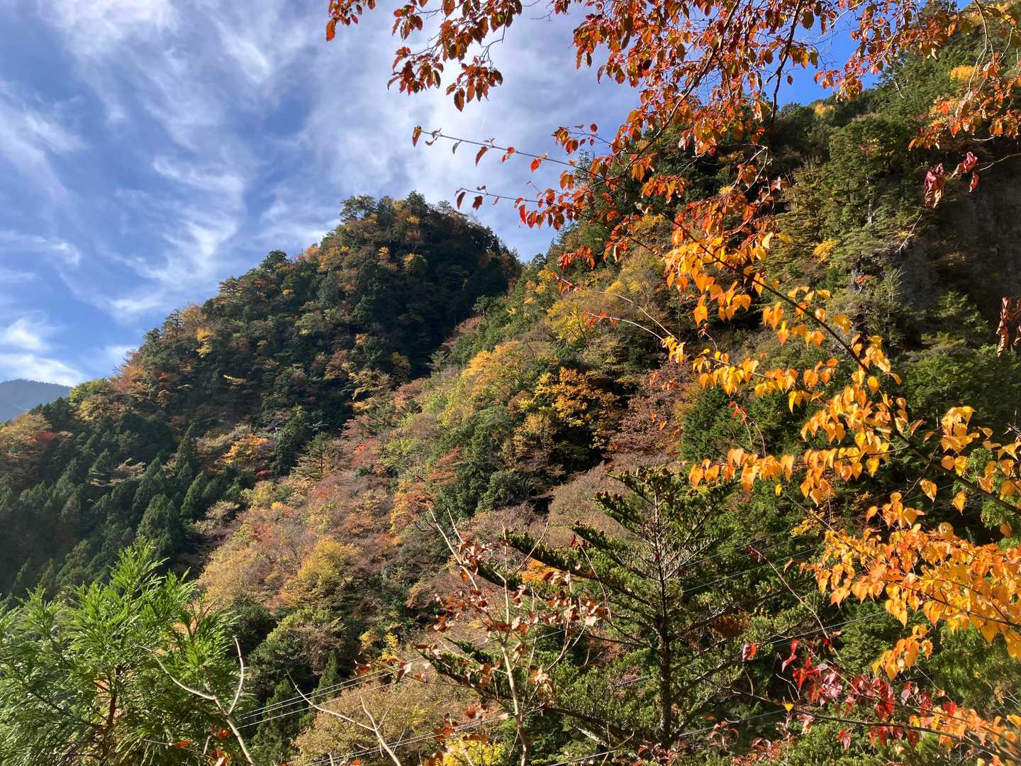 下山して、今度はみたらい遊歩道を下ります。