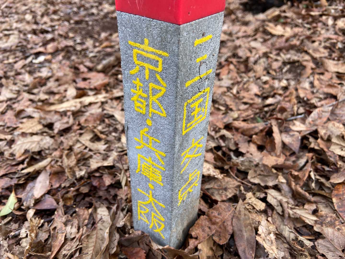 正式な境界点。
全然高い山でもキツい山でもないのに、すごい達成感❗
三国制覇✌