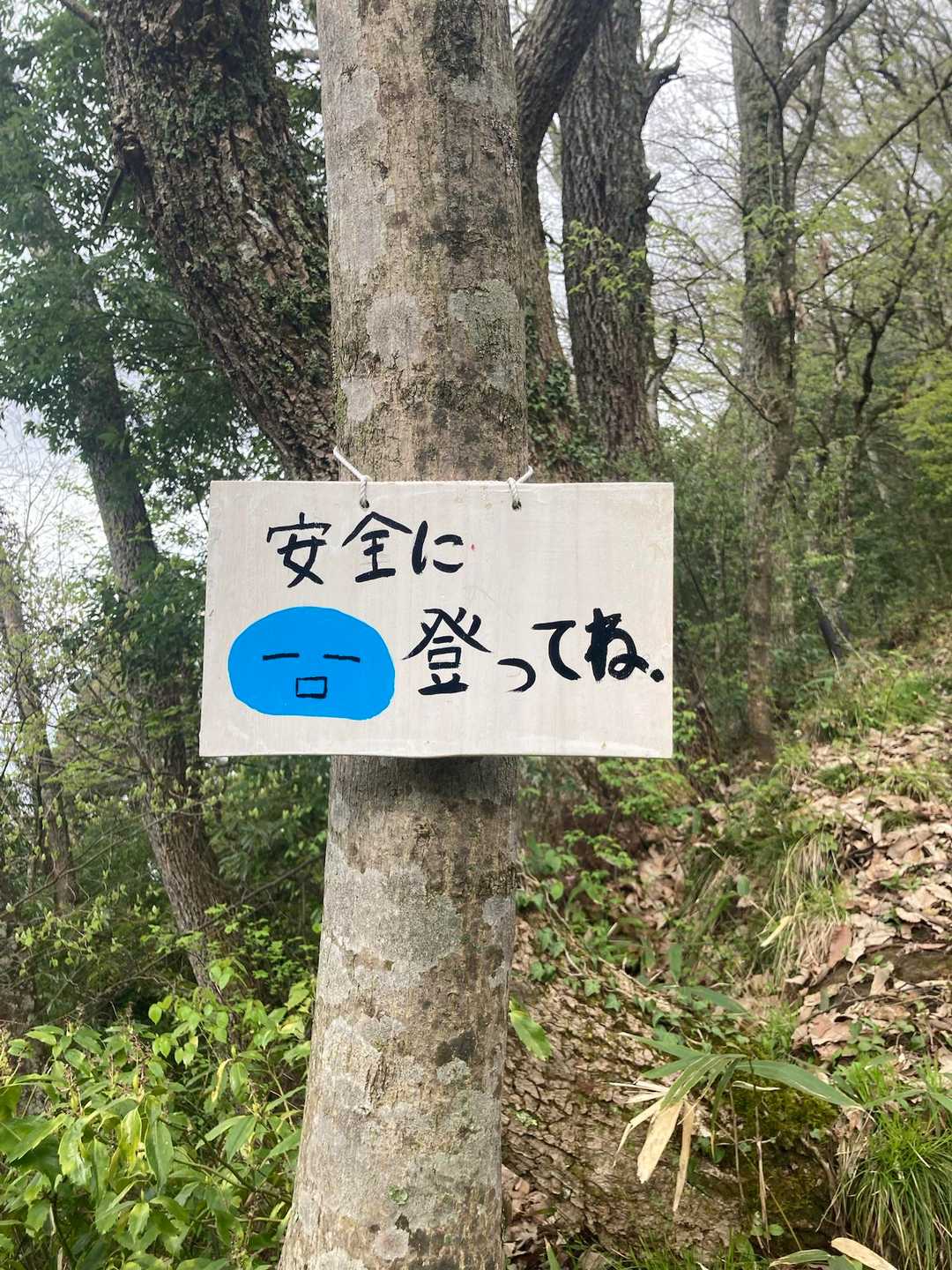 花筐公園コース登山口-行司岳-南三里山-三里山 周回コースの写真