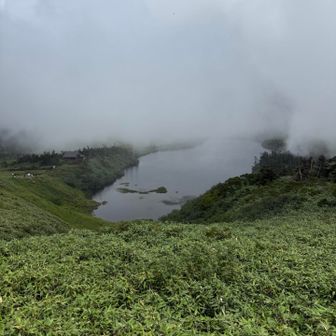 八幡沼