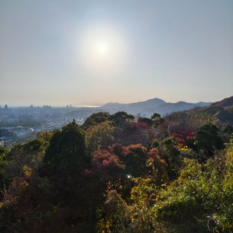縦走路前半を見返せる諏訪山。